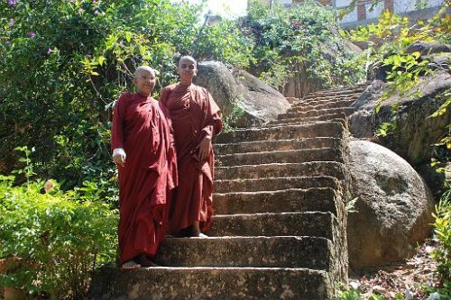 nunnery 3 20120327 1355922914.jpg